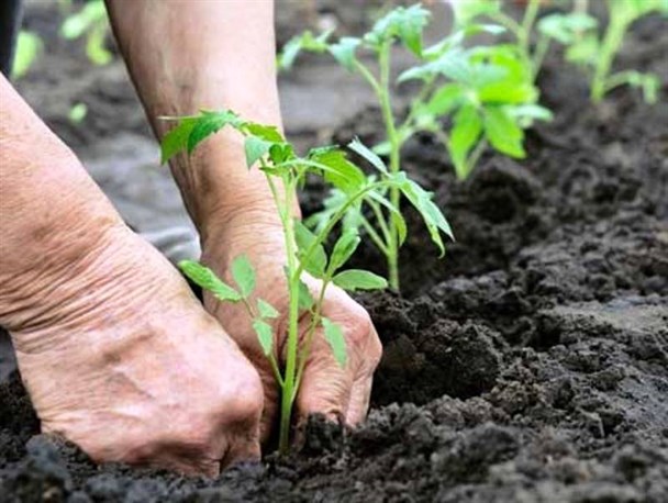 حکم جالب منابع طبیعی دره شهر برای دوهیزم شکن