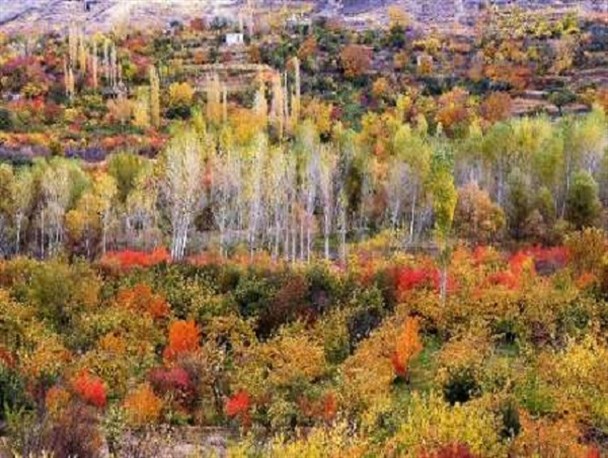 پاییز هزار رنگ گیوی و ظرفیتی که مغفول مانده+تصاویر