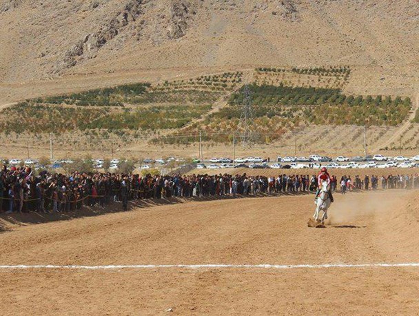 معرفی برترین‌های هفته نخست کورس پاییزه اسب‌دوانی سامان