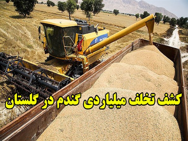کشف تخلف ۳۱۱ میلیاردی گندم در گلستان