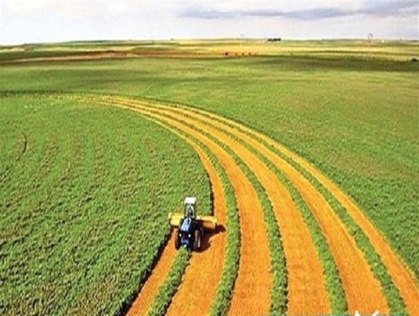 نقش موثر باشگاه کشاورزان جوان در توسعه روستایی/ مردم در راس برنامه‌ریزی و تصمیم‌گیری قرار می‌گیرند