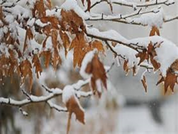 برف و باران مهمان چند روزه استان می شود/آذربایجان شرقی یخ می بندد!