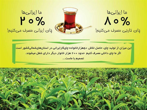 تاثیرات چای بر بدن انسان