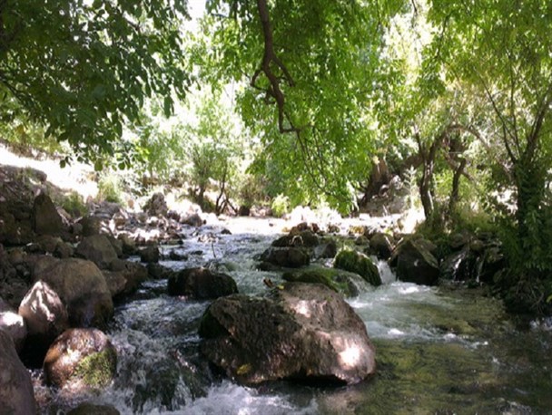 فیلم/کهمان رؤیایی