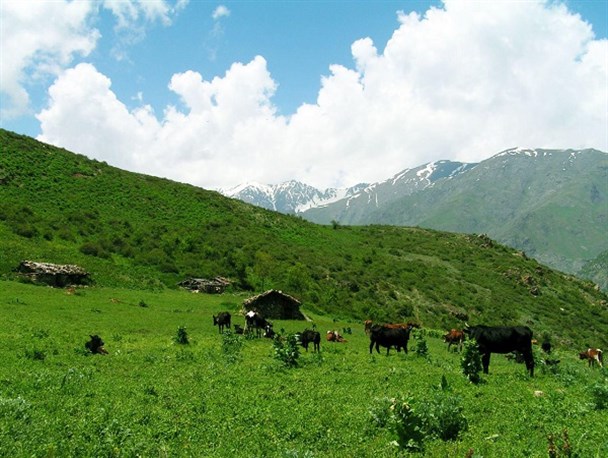 طبیعت فوق‎العاده زیبای روستای بیجدنو چالوس/تصاویر