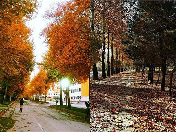 تصاویر زیبای پاییزی از دانشگاه ارومیه