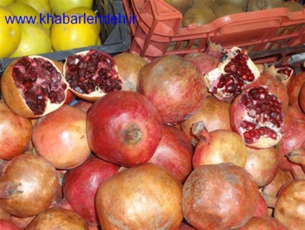نظارت کامل بر بازار شب یلدا و برخورد با متخلفین