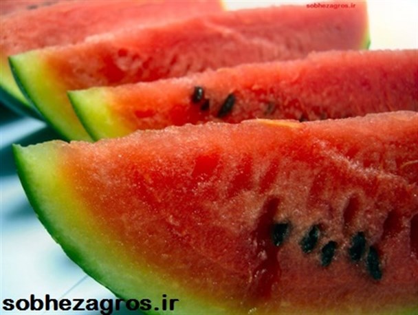 گزارشی از وضعیت بازار یاسوج برای شب یلدا(1)