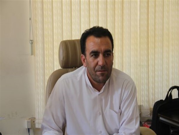 اجرای طرح توسعه کشت دانه روغنی کلزا در شهرستان سرپلذهاب
