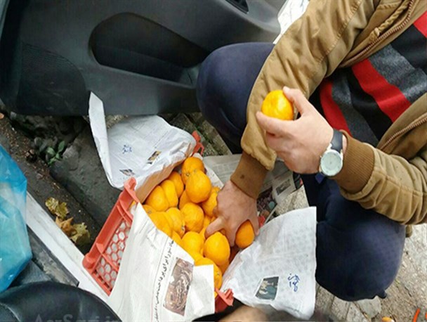 زیبایی شب یلدا در کمک به نیازمندان ساری /تصاویر