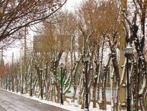 یلدای شازند سپید پوش شد