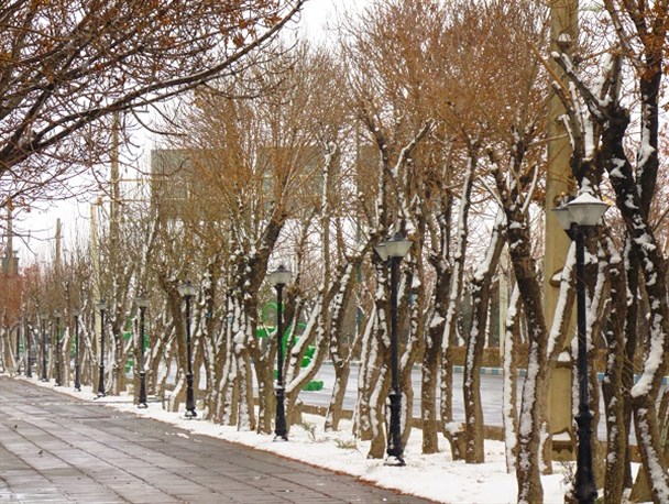 خودنمایی زمستان در آخرین روز پاییز در شازند+تصاویر