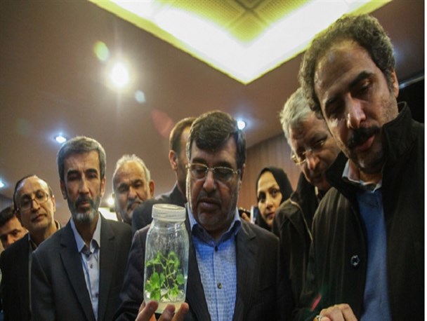 افتتاح نمایشگاه دستاوردهای جهاد دانشگاهی استان قزوین