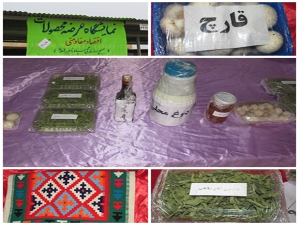 نمایشگاه دستادوردهای اقتصاد مقاومتی در لنده+تصاویر