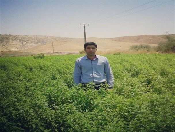 دسترنج جوان باشتی بر سر سفره انگلیسی ها/اشتغالزایی یک نفر برای 100 نفر