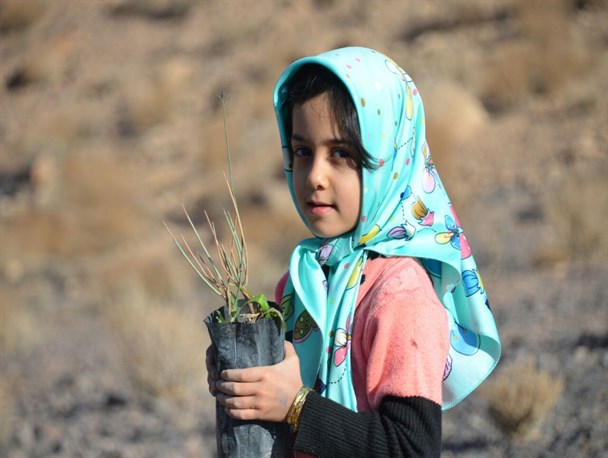 طرح جنگلانه برای سومین سال متوالی برگزار شد+ تصاویر