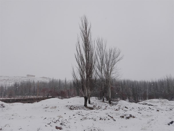 زمستان نیست...