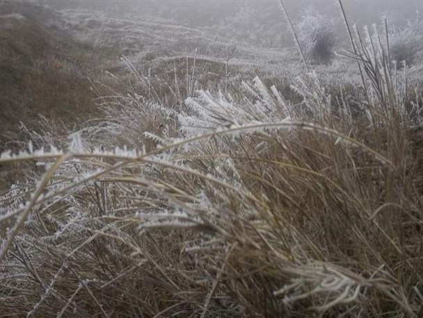 سرما و مه، پدیده قالب در چهارمحال‌و‌بختیاری است/ پیش‌بینی جوی پایدار در استان