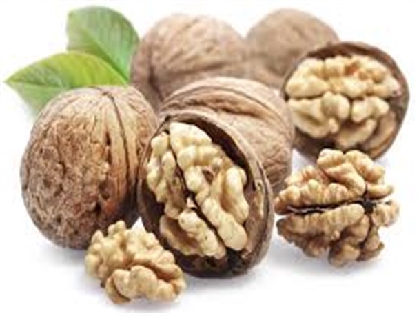 گردو منبع غنی از آهن