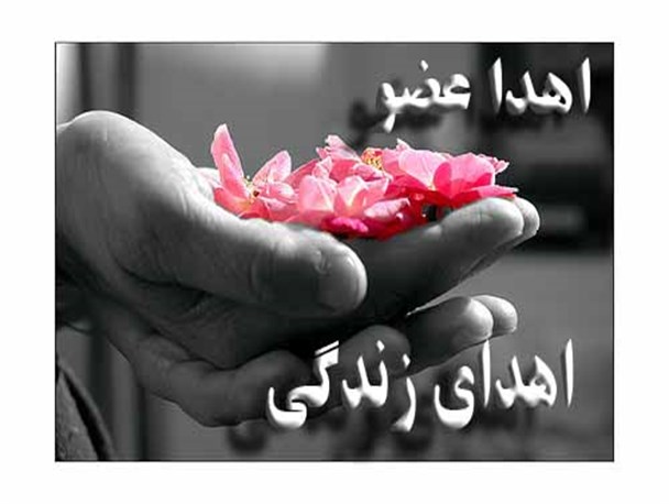 اهدای اعضای جوان کبودرآهنگی به ۴ بیمارنیازمند