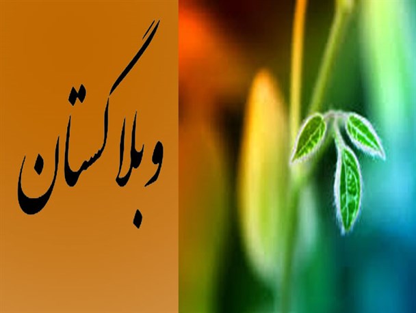 از راههای رسیدن به آرامش تا ضرورت توجه به اخلاق و معنویات