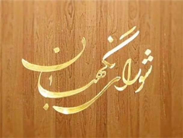 شورای نگهبان از حق خدا و حکومت دفاع می کند/ کسی که وارد عرصه انتخابات می شود باید تمام قواعد بازی را بپذیرد