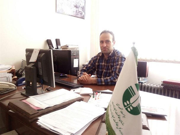 شایعه رها سازی گرگ توسط محیط زیست صحت ندارد