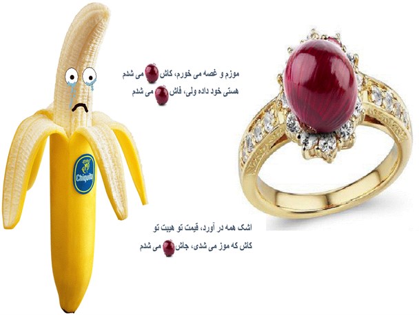 کاش که موز می شدی، جاش پیاز می شدم