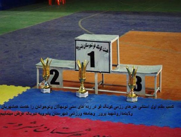 " بشرویه" قهرمان مسابقات هنرهای رزمی و کونک فوی استان شد +تصاویر