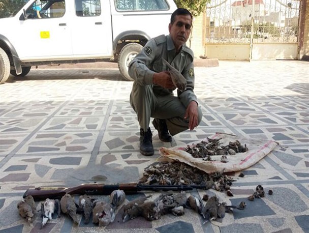 دو متخلف با ۱۴۷ لاشه پرنده وحشی دستگیر شدند +عکس