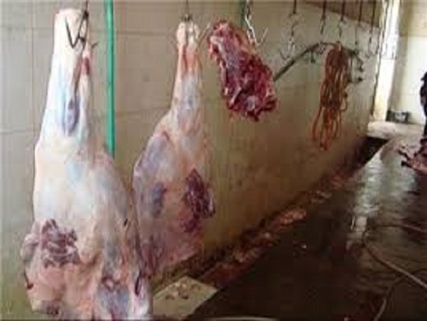 کشتارکنندگان غیرمجاز دام در قزوین به جزای نقدی محکوم شدند