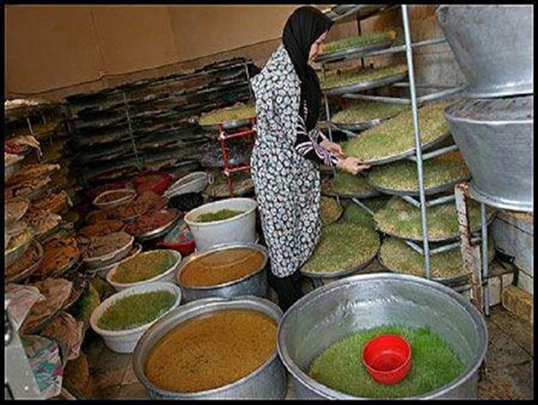 کسب و کار خانگی با طعم سال نو