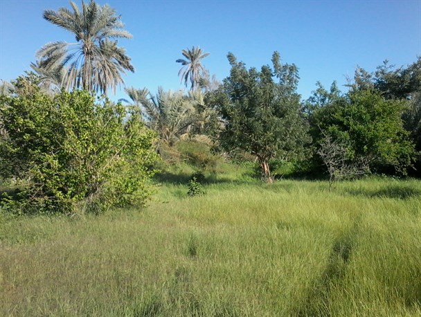 روستای بندگرمان با طبیعتی بکر دارای جاذبه های گردشگری در سیریک+تصاویر