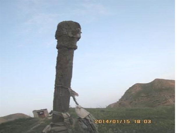 رازهایی ناب از درختی به نام درخت آخوند خلیفه+تصاویر