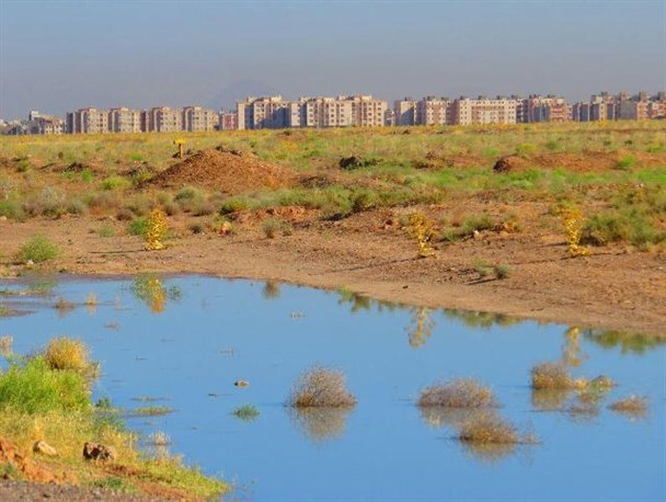 آلودگی محیط زیست دلیجان با پسآب‌های صنعتی