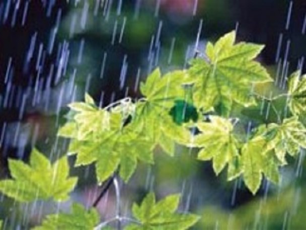 کاهش ۴۴ درصدی میزان بارندگی در شهرضا نسبت به میانگین بلندمدت