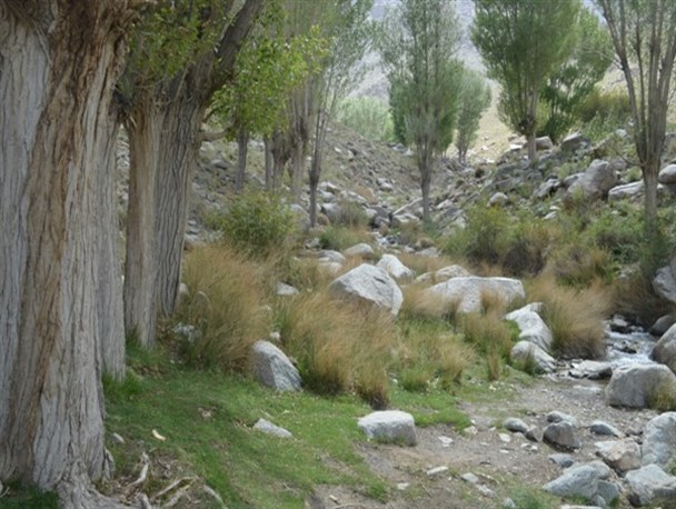 طبیعت بکر برف خانه طزرجان به روایت تصویر