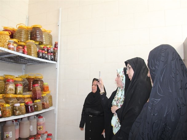 بازدید نماینده ستاد توانمندسازی زنان کشور ازفعالیت های حوزه زنان درقاین