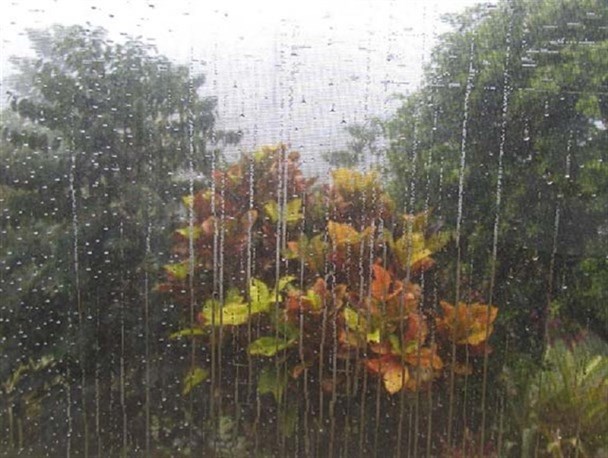 بارش 48/3 میلیمتری باران در روستای بلغان علیا