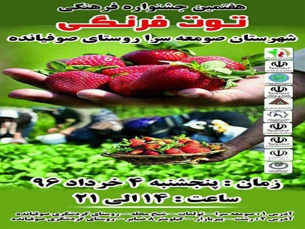 هفتمین جشنواره توت فرنگی در صوفیانده صومعه سرا برگزار می شود