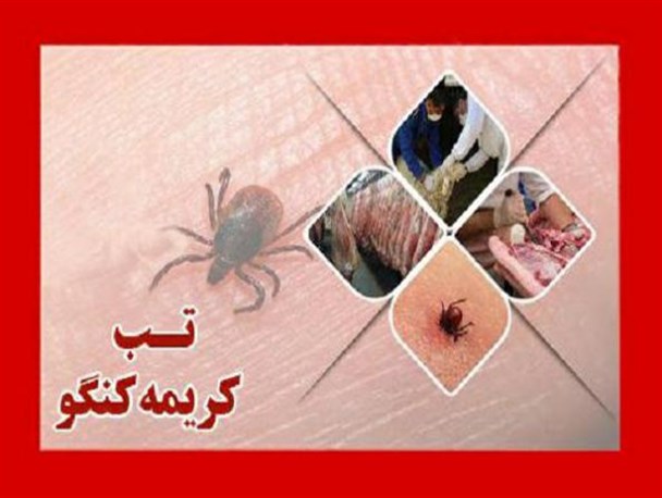 «تب کریمه کنگو» در کمین ذبح‌های غیر بهداشتی/شیوع تب برفکی در استان مرکزی در شرایط بحرانی نیست