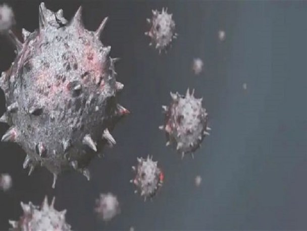 آبله میمون چیست و چگونه شیوع پیدا می‌کند/ وضعیت شیوع آبله میمون در ایران