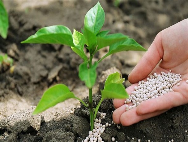 ۹۵ درصد کود شیمیایی مورد نیاز کشور در داخل تولید می‌‎شود