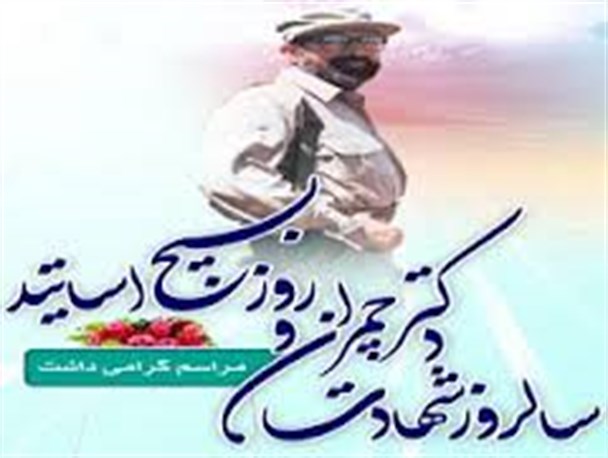 الگو و اسوه اساتید بسیجی شهید چمران است