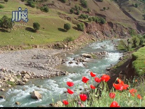 خداحافظ بهار/ با آمدن فصل تابستان این مناظر را تا بهار سال بعد نخواهید دید