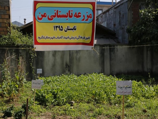 طرح “مزرعه تابستانی من” در لنگرود راهی برای توجه به کشاورزی و ایجاد انگیزه و ترویج فرهنگ کار + تصویر