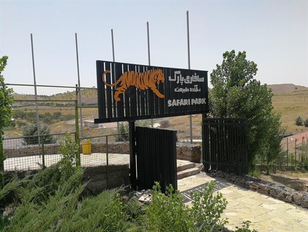 کاهش ۸۵درصدی مرگ‌ومیر حیوانات در دهکده طبیعت/ شهرداری قزوین ماهانه یک میلیارد تومان هزینه می‌کند