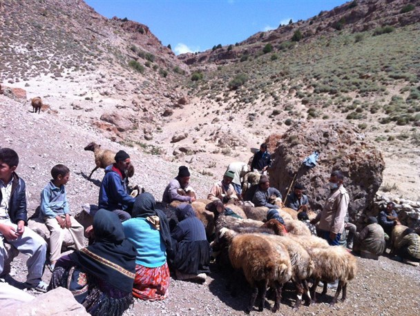 گزارش تصویری/عشایر محلات هزار مسجد کلات