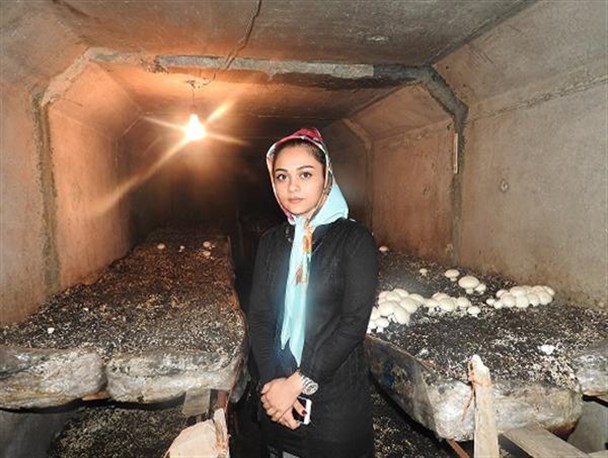 گفت و گو با بانویی که با پرورش قارچ در اقتصاد مقاومتی ایفای نقش می کند