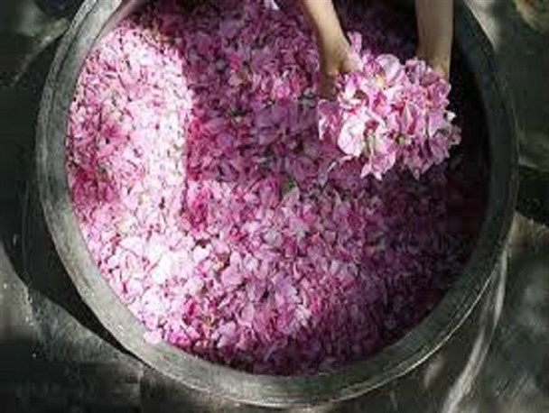 کار برای بانوان بسیار است فقط باید اراده داشت/دست از حمایت مسئولین شسته ام